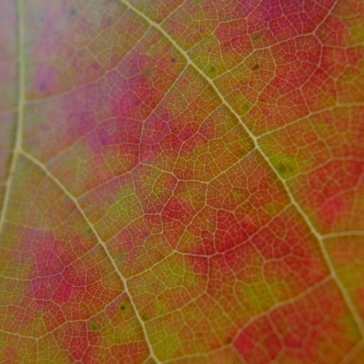 Fujifilm X-E2 Firmware Update 4.0 first impressions